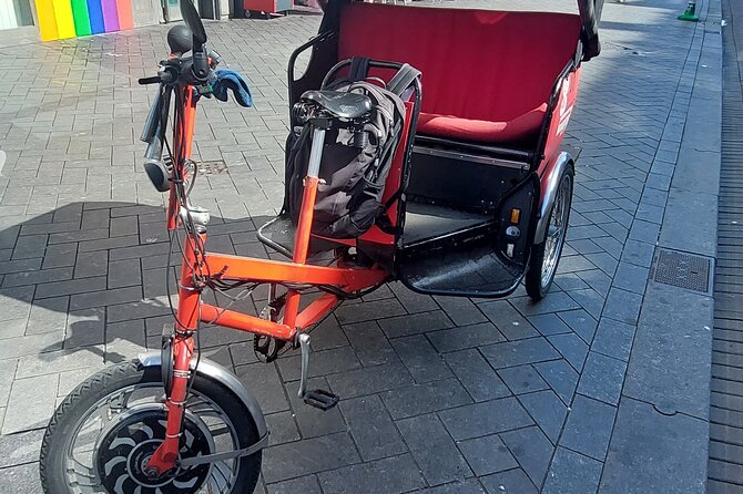 1 Hour Private Amsterdam Rickshaw Tour - One hour, all the right angles on Amsterdam