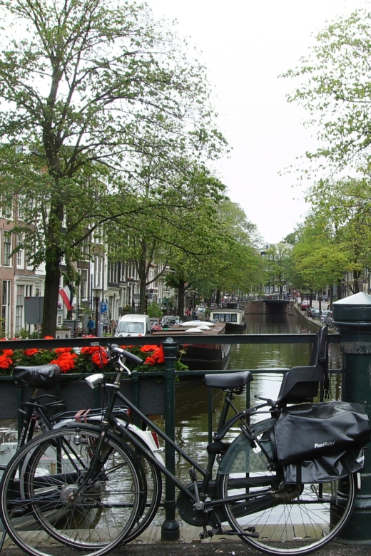 2.5-Hour Amsterdam Sightseeing Tour by Bike - Guides: History, Question Time, and Real Adaptation