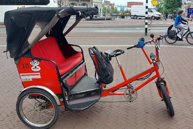2 Hours Private Amsterdam Rickshaw Tour - Vondelpark and De Gooyer Windmill: green calm plus working-city details