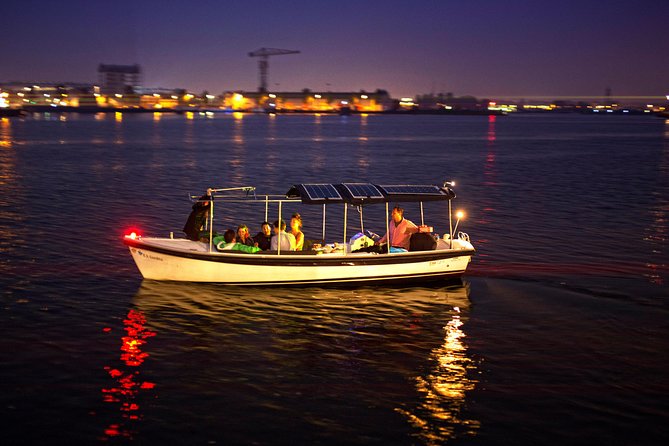 90-min Amsterdam Light Festival Tour - Who this cruise is best for (and who might want a different style)