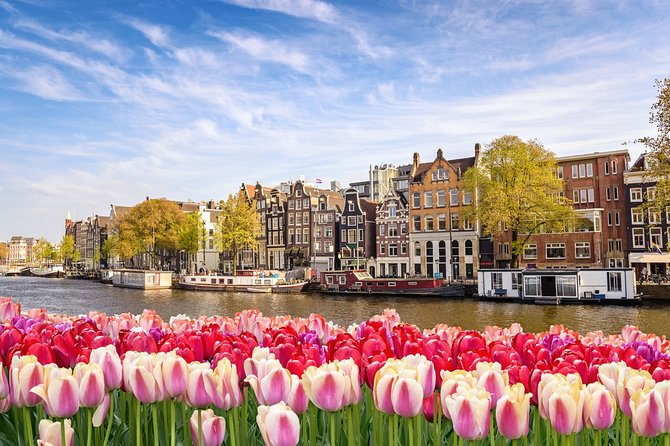 Airport Transfer: Schiphol Airport AMS to Amsterdam by Luxury Van - The Actual Timing: About 25 Minutes Into Amsterdam