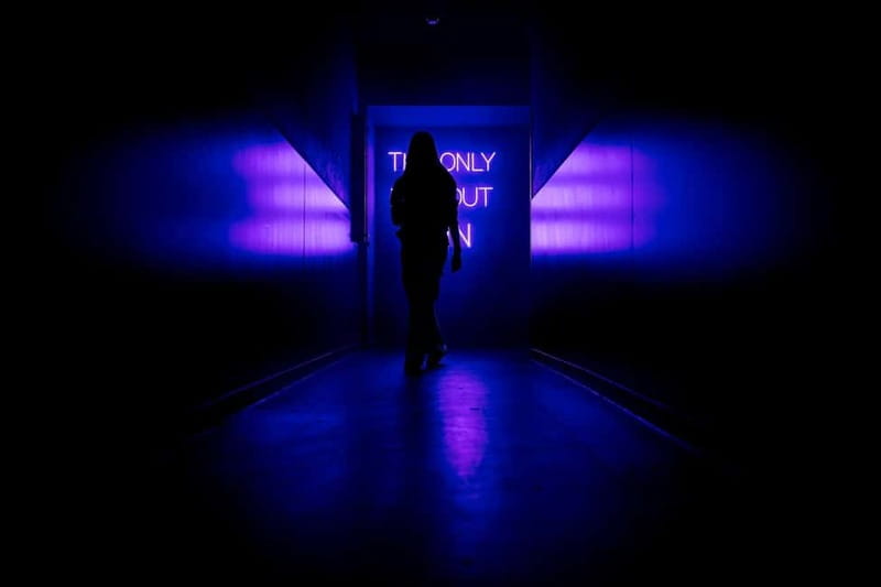 AMAZE Amsterdam: Immersive Audiovisual Experience - The Staff Factor: Helpful, Friendly, and Part of the Vibe