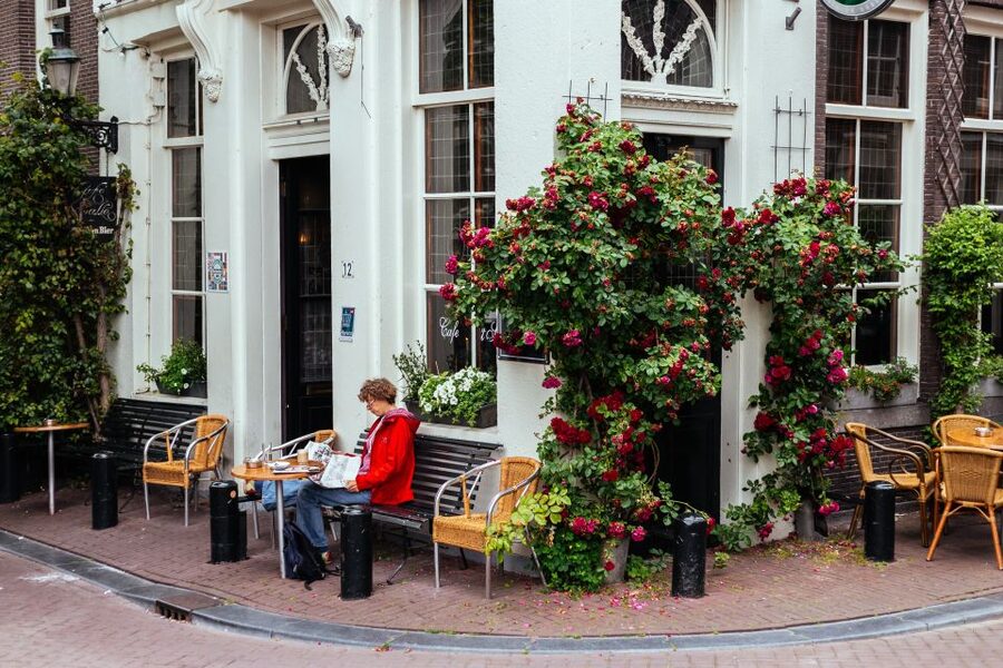 Amsterdam: 1.5-Hour Private Kick-Start Tour with a Local - Should You Book This 1.5-Hour Private Kick-Start Tour?