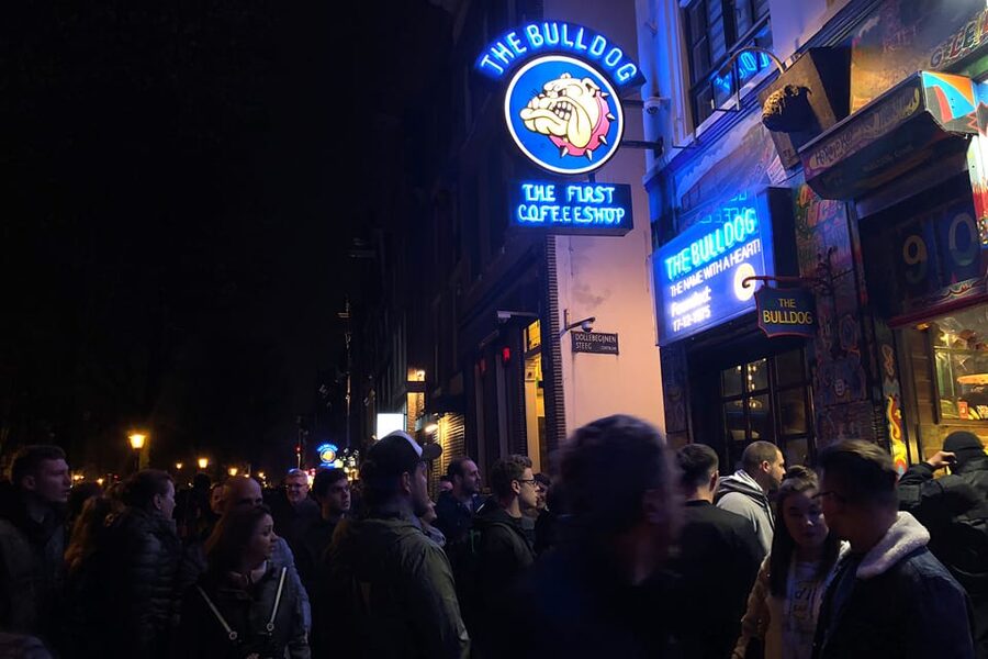 Amsterdam: 1,5-Hour Red Light District Tour - Who This Tour Fits Best (and Who Should Skip It)