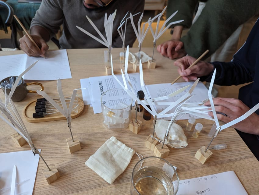 Amsterdam: 3-Hour Mindful Perfume-Making Workshop - Who this workshop is best for (and when to choose something else)