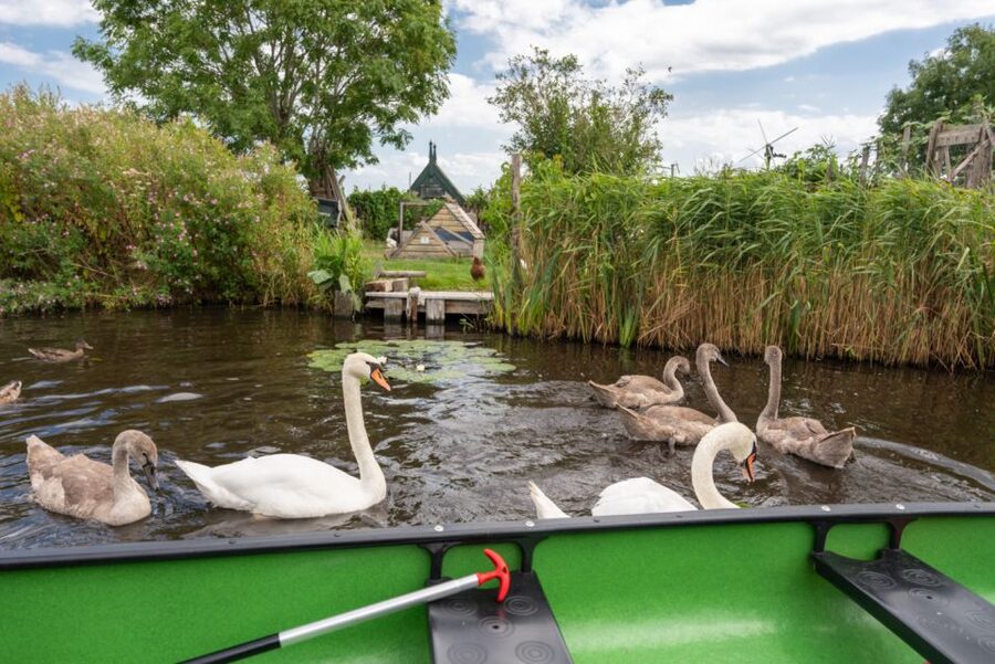Amsterdam 5-Hour Guided Canoe Trip in the Wetlands - The island picnic: regional food, wetland views, and a mental reset