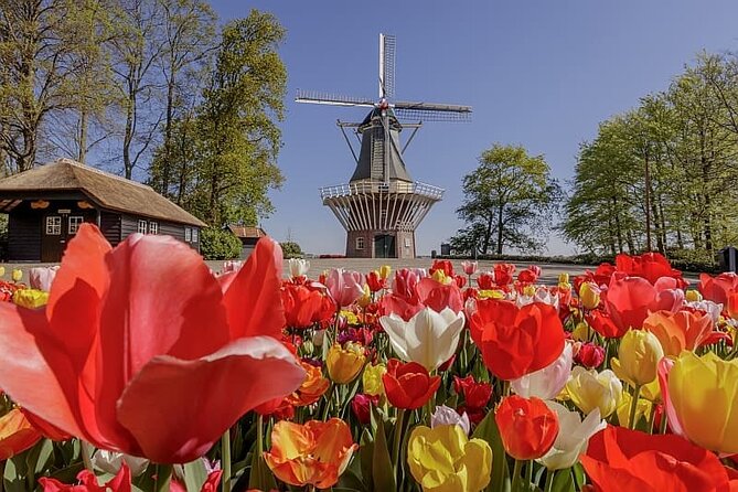 Amsterdam Airport (AMS) Transfer to Amsterdam/Rotterdam/Keukenhof - Value Check: When This Transfer Makes Sense (and When It Doesn’t)