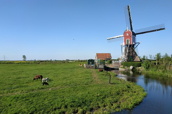 Amsterdam and Countryside Private Full-Day Tour by luxury car - Price and value: $725 for up to three, plus free admissions