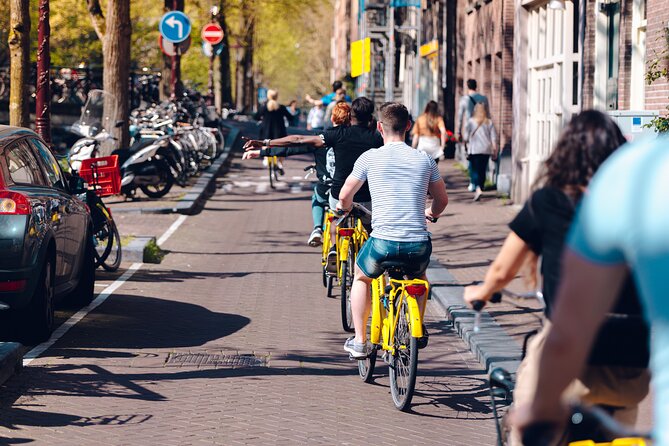 Amsterdam Anne Frank and Jewish History E Bike Tour - Portuguese Synagogue: admire from outside, then keep moving