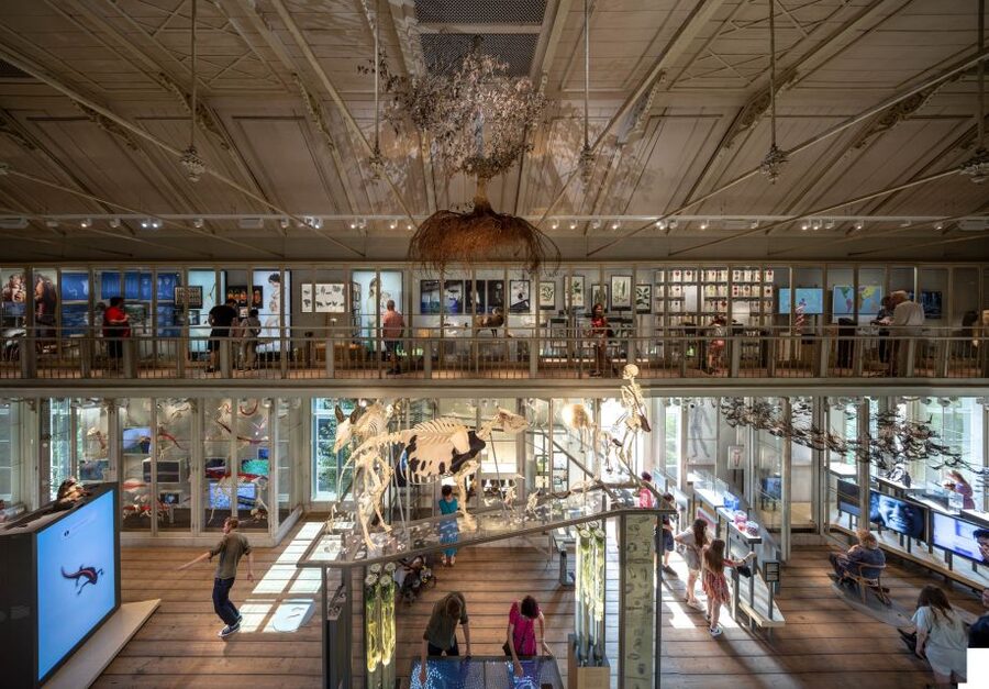 Amsterdam: ARTIS-Groote Museum Entry Ticket - First Impressions: Amsterdam’s Nature Museum Feels Personal
