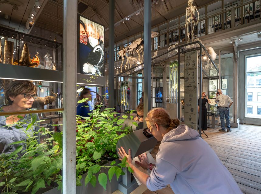 Amsterdam: ARTIS-Groote Museum Entry Ticket - Free Audio Tours: How to Use Them Without Overthinking