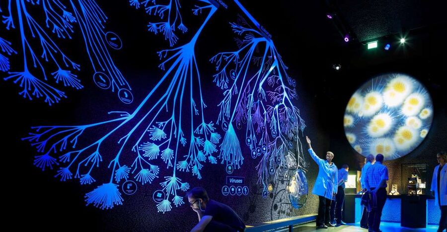 Amsterdam: ARTIS-Micropia Microbe Museum Entry Ticket - Pair It With ARTIS Zoo or the ARTIS-Groote Museum Without Overplanning