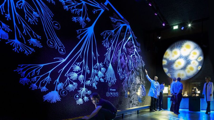 Amsterdam: ARTIS-Micropia Microbe Museum Entry Ticket - Who Should Book Micropia, and Who Might Skip It