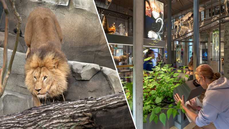 Amsterdam: ARTIS Royal Zoo and ARTIS Groote Museum Ticket - Key highlights worth planning for