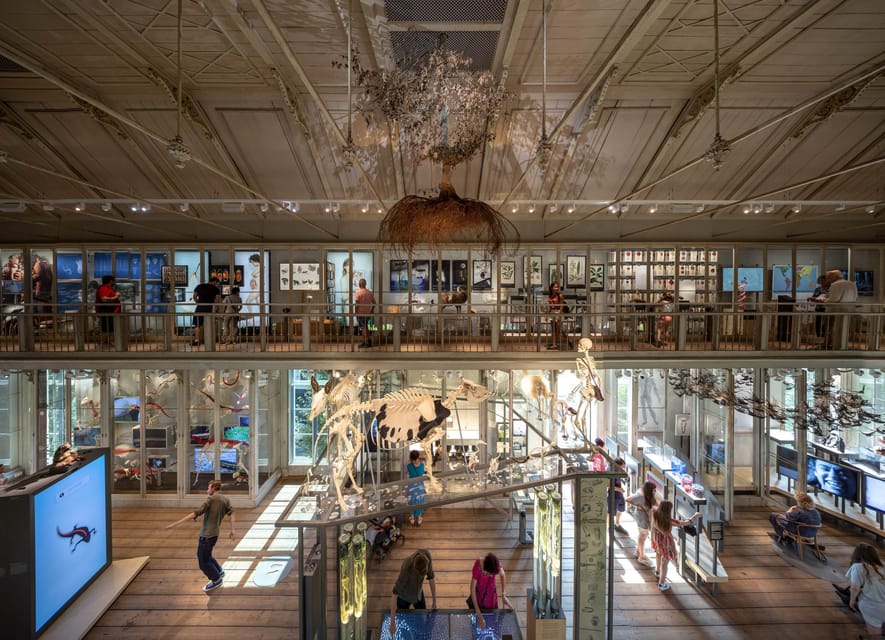 Amsterdam: ARTIS Royal Zoo and ARTIS Groote Museum Ticket - Practical tips for timing, walking, and comfort