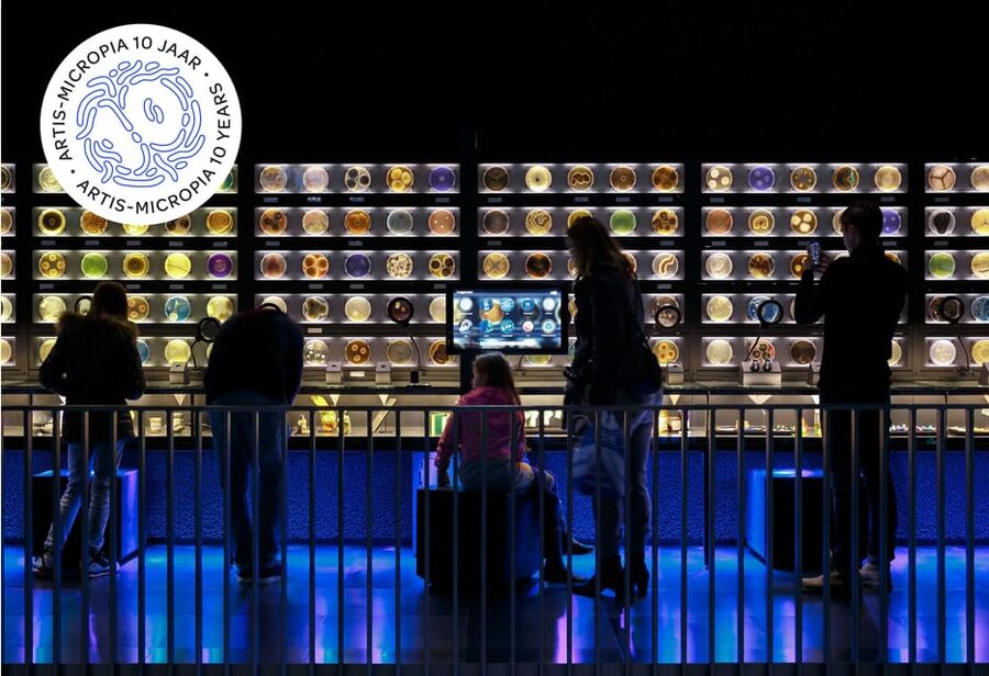 Amsterdam: Artis Royal Zoo & ARTIS-Micropia Combo Ticket - Key reasons this combo works