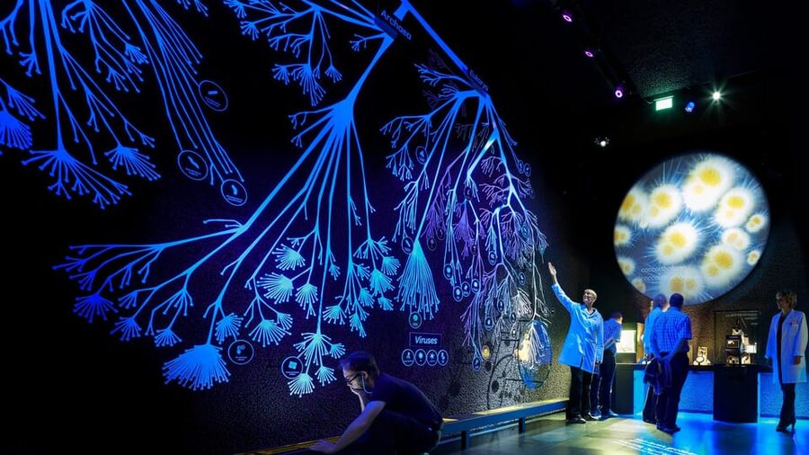 Amsterdam: Artis Royal Zoo & ARTIS-Micropia Combo Ticket - ARTIS-Micropia: the microbe museum that turns your invisible world into a real place
