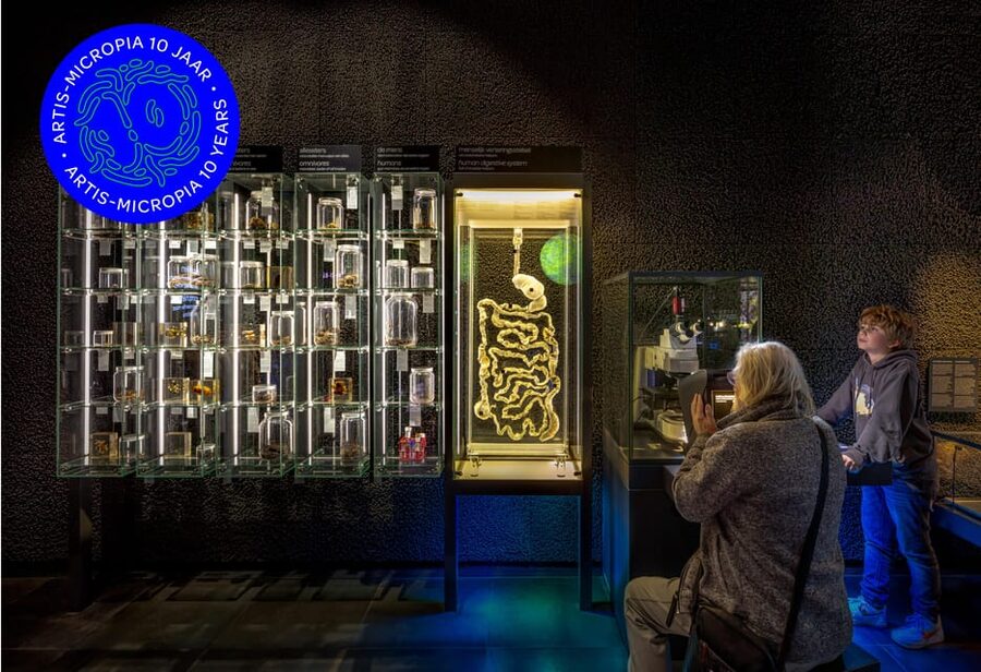 Amsterdam: Artis Royal Zoo & ARTIS-Micropia Combo Ticket - Timing the day: the Micropia time slot is real, but the zoo stays flexible