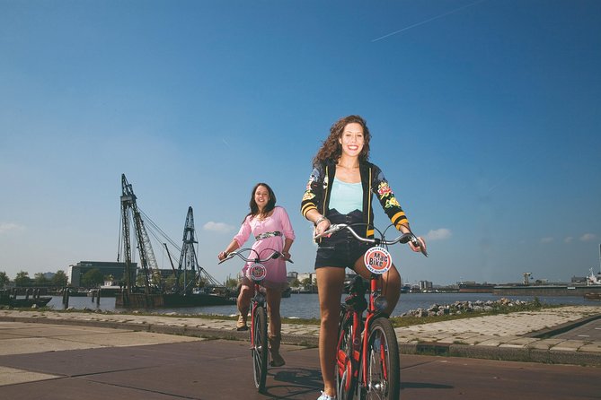 Amsterdam: Bike Rental - The bike itself: front brakes, two locks, and safety lights