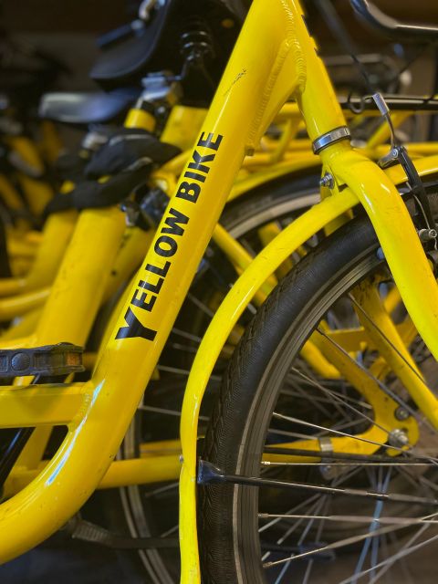 Amsterdam Bike Rental: Central Station & City Center - Price and Value: Why $10 Can Be a Smart Amsterdam Move