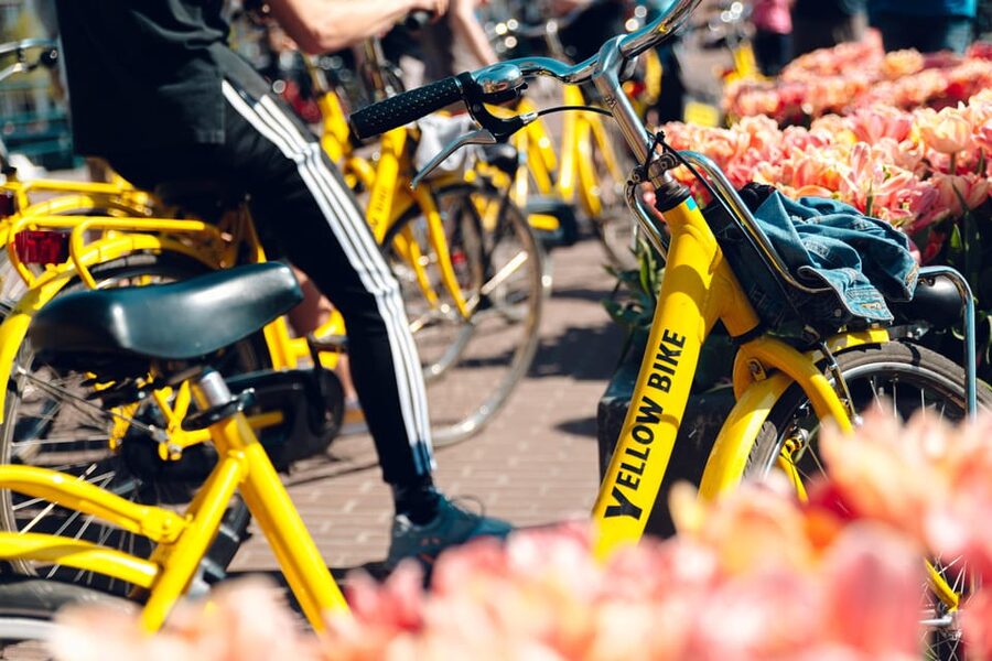 Amsterdam Bike Rental: Central Station & City Center - Locking Up Like You Mean It: Ring Locks, Chain Locks, and Deposits