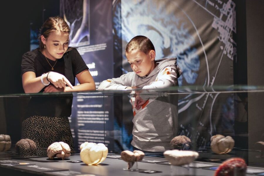 Amsterdam: Body Worlds Exhibition and Canal Cruise - Your ideal match: who should book this