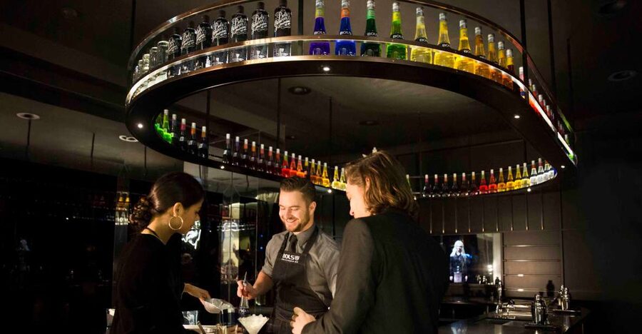 Amsterdam: Bols Cocktail Experience and Cocktail Workshop - Should You Book the Bols Cocktail Experience and Workshop?