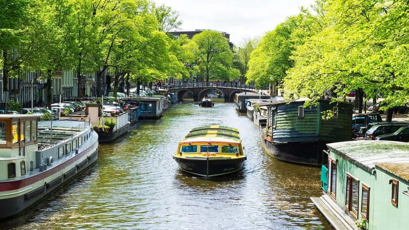 Amsterdam: Burger Cruise - Burgerbar & Canal Cruise - Your meal: Burgerbar burgers, fries with mayo, and 1 included drink