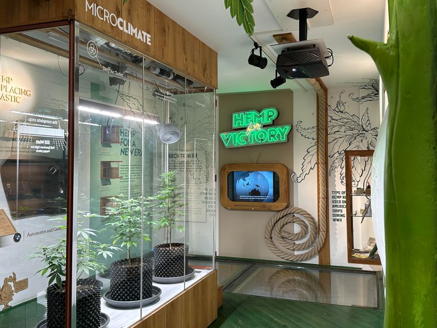 Amsterdam: Cannabis Museum Entry Ticket - Key things to know before you go
