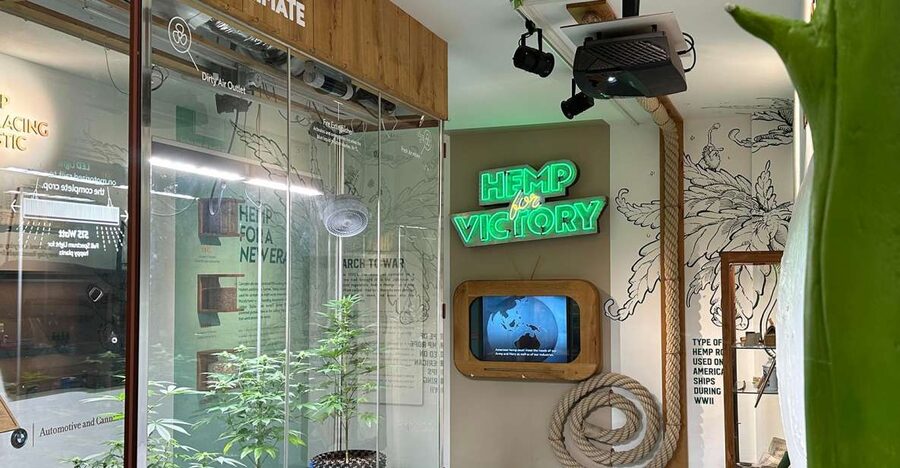 Amsterdam: Cannabis Museum Entry Ticket - The live-plant ecosystem and lab-style stations