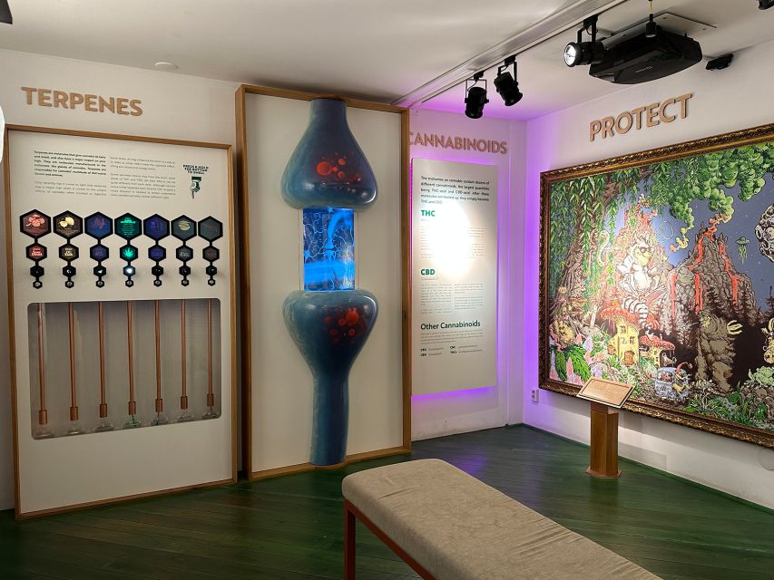 Amsterdam: Cannabis Museum Entry Ticket - Myths and propaganda: separating story from evidence