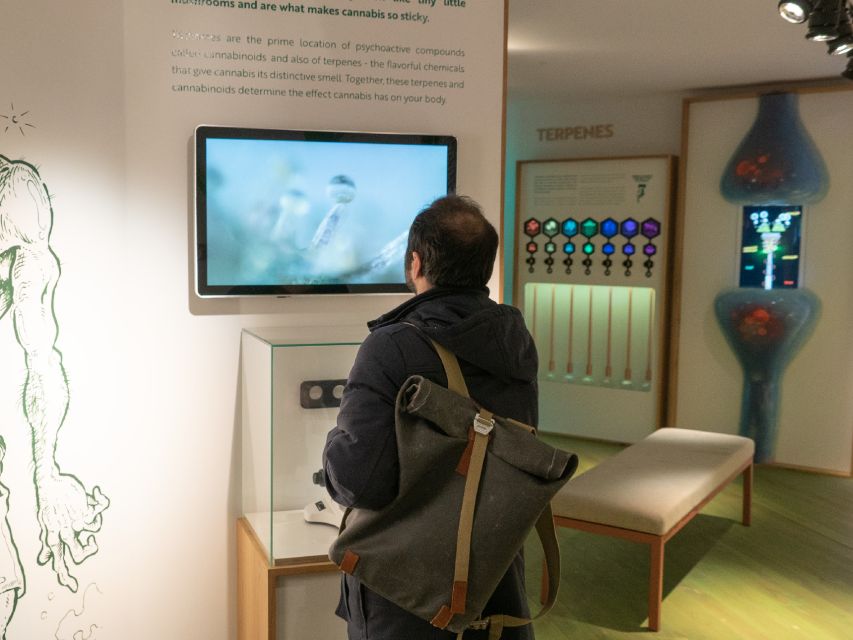 Amsterdam: Cannabis Museum Entry Ticket - Walking in: the museum flow across 3 floors