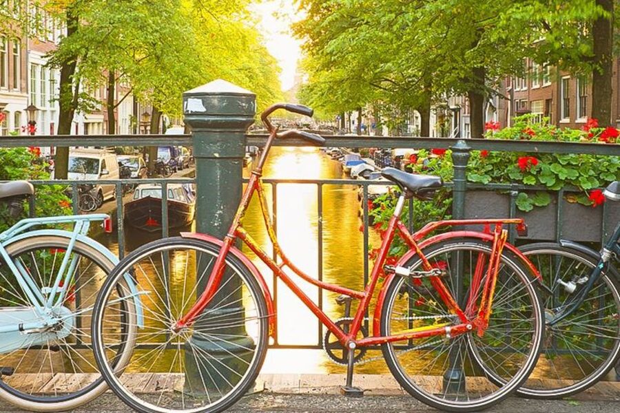 Amsterdam City Center Guided Walking Tour - 12 guests 2,5h - Basilica of Saint Nicholas to Zeedijk: Old City Texture Right Away