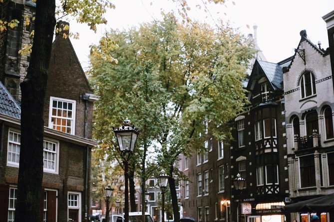 Amsterdam City Center & History - Exclusive Guided Walking Tour - A 2.5-hour Amsterdam primer that feels built for Day One