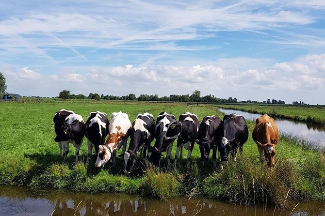 Amsterdam City & Countryside Tour: The Best of both Worlds - Zaanse Schans Windmills: Dutch Icons Without the Full-Day Grind
