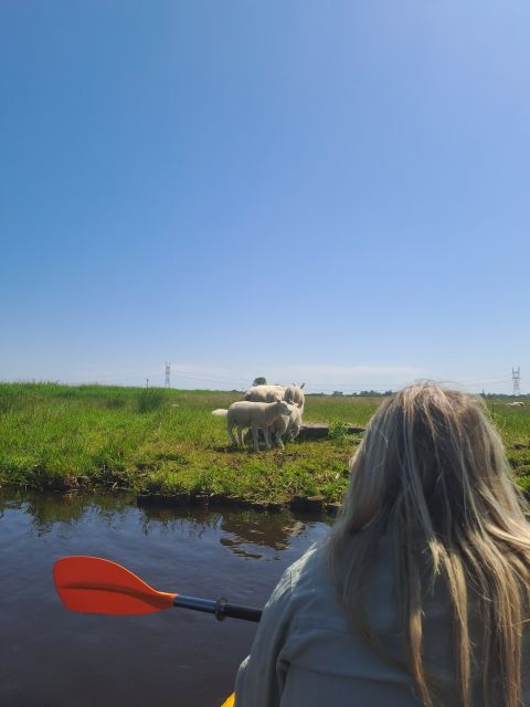 Amsterdam: Countryside Bike and Kayak Guided Tour - Key things that make this tour special