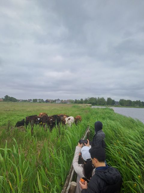Amsterdam: Countryside Bike and Kayak Guided Tour - How this bike-and-kayak day turns Amsterdam into countryside