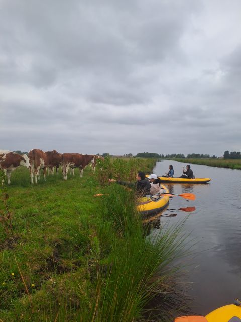 Amsterdam: Countryside Bike and Kayak Guided Tour - d’Admiraal Windmill: the photo stop with actual meaning