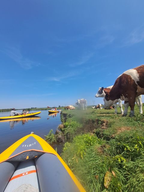 Amsterdam: Countryside Bike and Kayak Guided Tour - Cycling through North Holland: where the countryside actually shows up