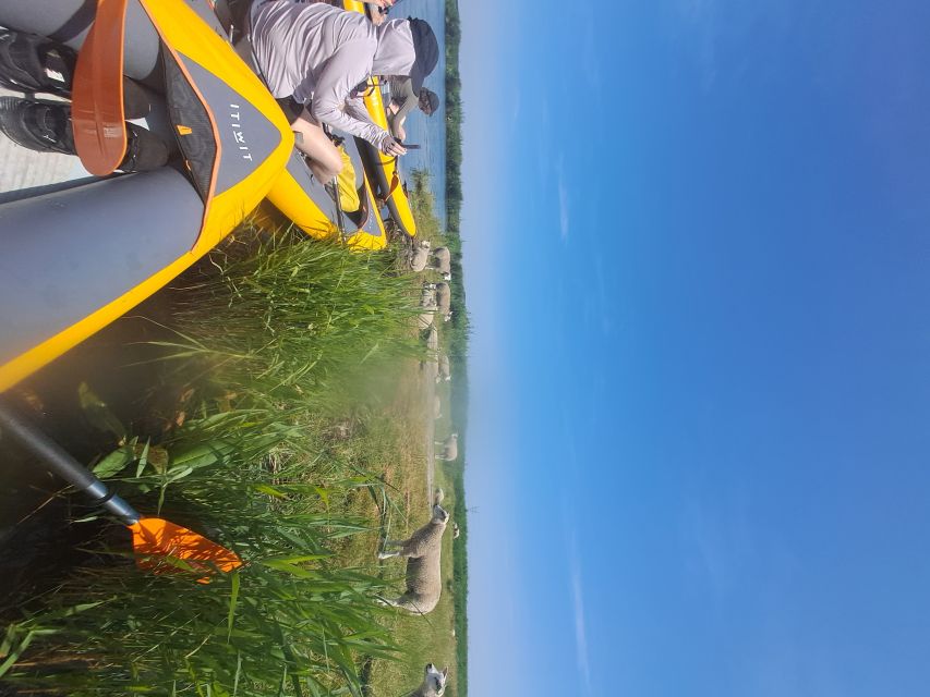 Amsterdam: Countryside Bike and Kayak Guided Tour - Broek in Waterland kayaking: calm water and animals nearby