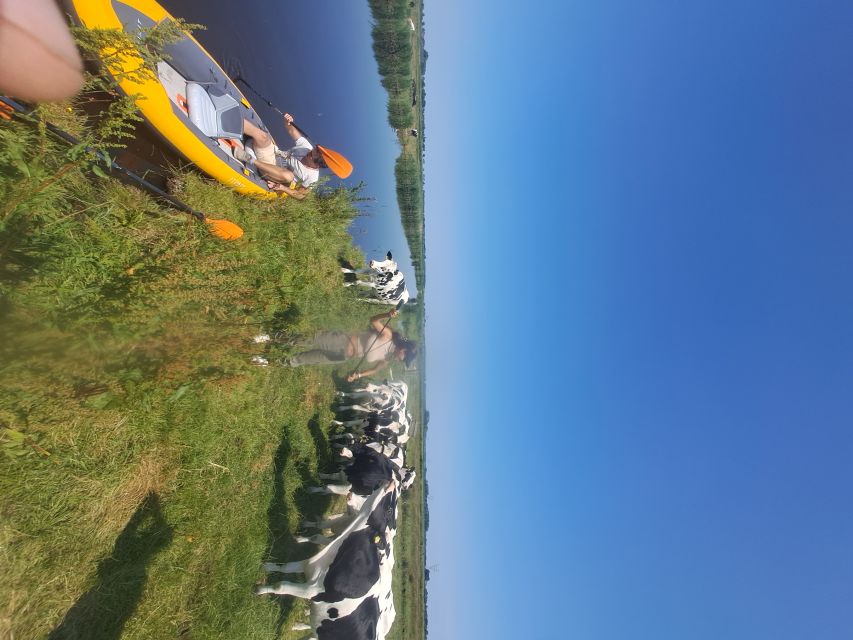 Amsterdam: Countryside Bike and Kayak Guided Tour - The value check: what $84 buys you in real terms