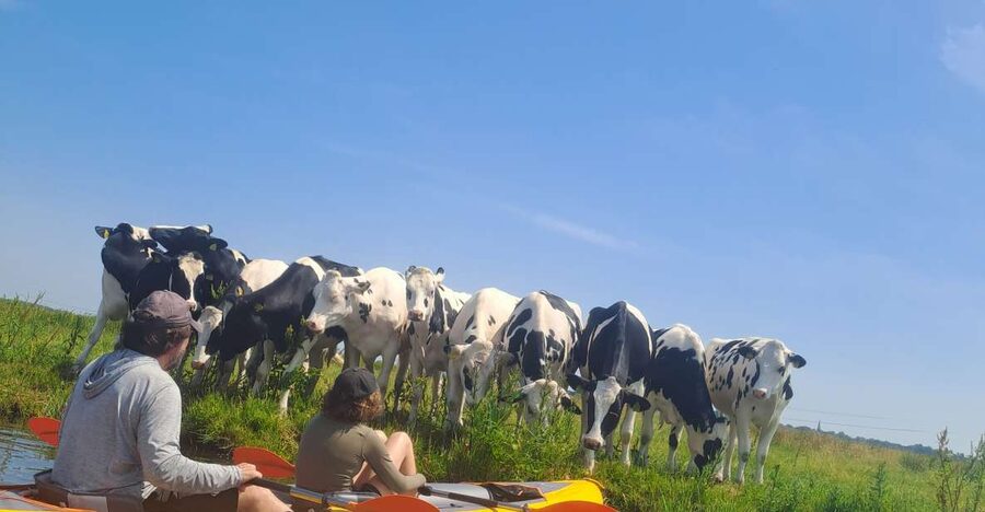 Amsterdam: Countryside Bike and Kayak Guided Tour - Starting at A’DAM Lookout and getting rolling