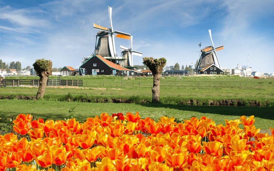 Amsterdam: Day Tour Keukenhof and Zaanse Schans Windmills - From Amsterdam to Zaanse Schans: the This is Holland meetup trick
