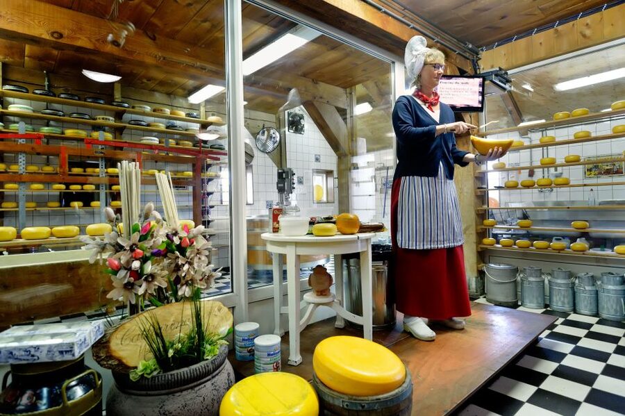 Amsterdam: Day Tour Keukenhof and Zaanse Schans Windmills - Keukenhof: making the most of 4 hours in spring bloom season