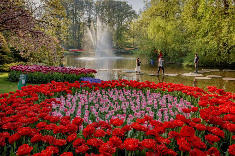 Amsterdam: Day Tour Keukenhof and Zaanse Schans Windmills - Cheese-making, clog demos, and the small crafts that anchor the day
