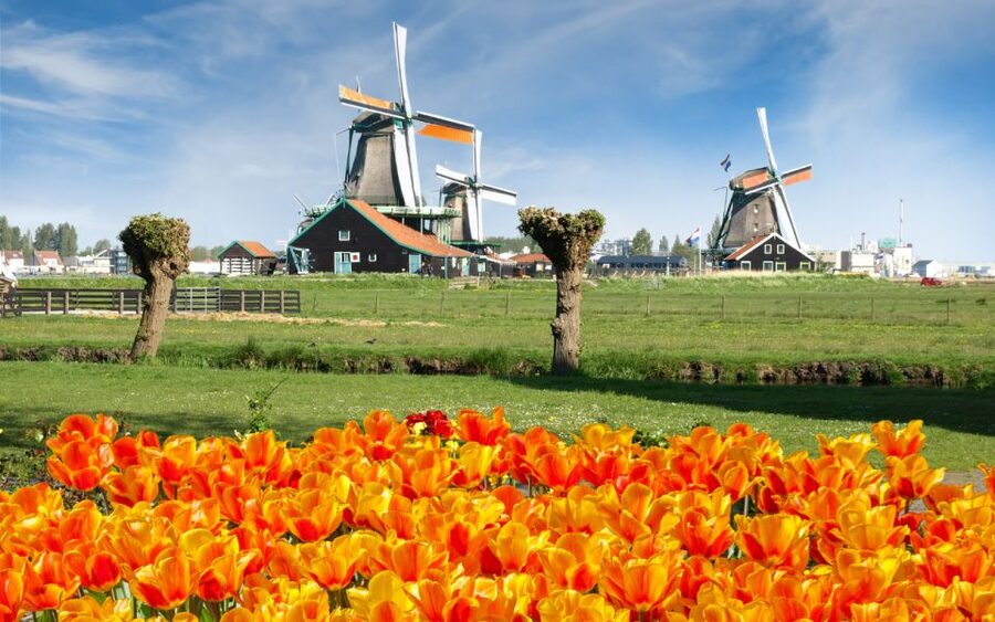 Amsterdam: Day Tour Keukenhof and Zaanse Schans Windmills - Bus timing, seating, and the “don’t sweat it” rules