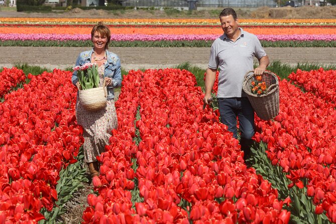 Amsterdam: Day trip to Tulip Farm, Keukenhof + Windmill Cruise - Tulperij bulb farm with Daan and Anja: what you learn and what you can do