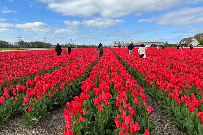 Amsterdam: Day trip to Tulip Farm, Keukenhof + Windmill Cruise - Kagerplassen windmill cruise: a 1-hour break with real countryside views