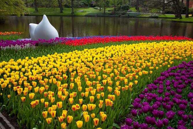 Amsterdam: Day trip to Tulip Farm, Keukenhof + Windmill Cruise - The tulip field bus ride to Keukenhof: a short scenic stretch