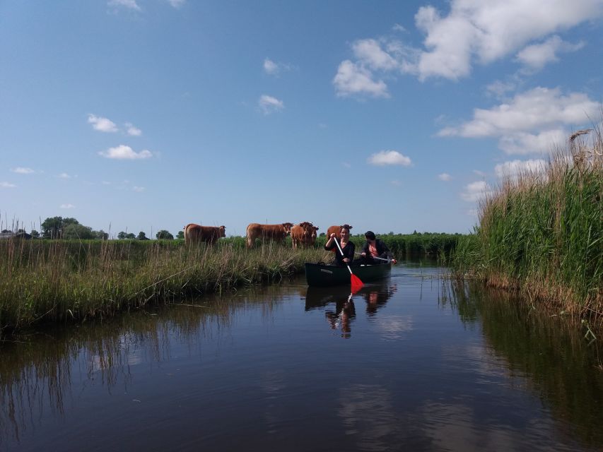 Amsterdam: Dutch Countryside Sunset Canoe Tour - Timing and pacing: a full 4 hours without feeling rushed